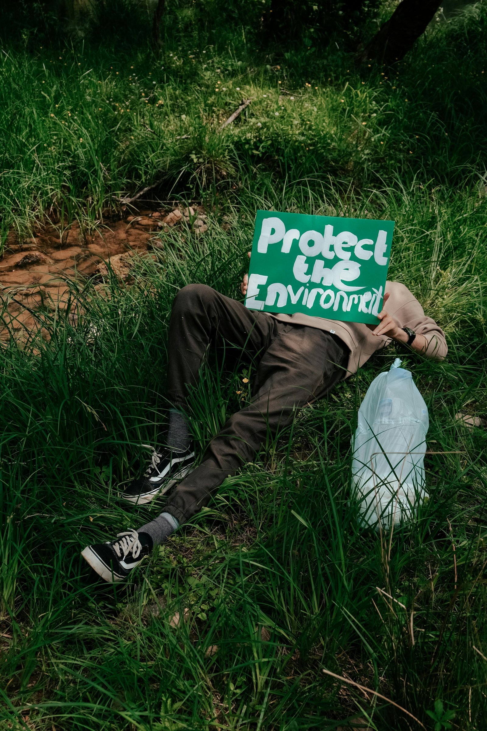 E se cada projeto seu pudesse regenerar o futuro?